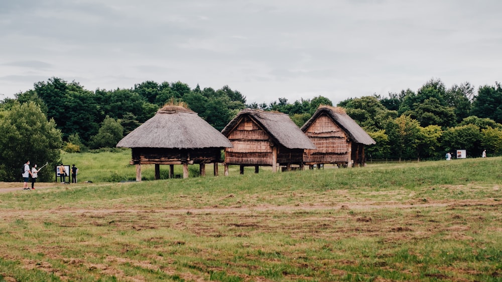 brown wooden houses on green grass field under white cloudy sky during daytime