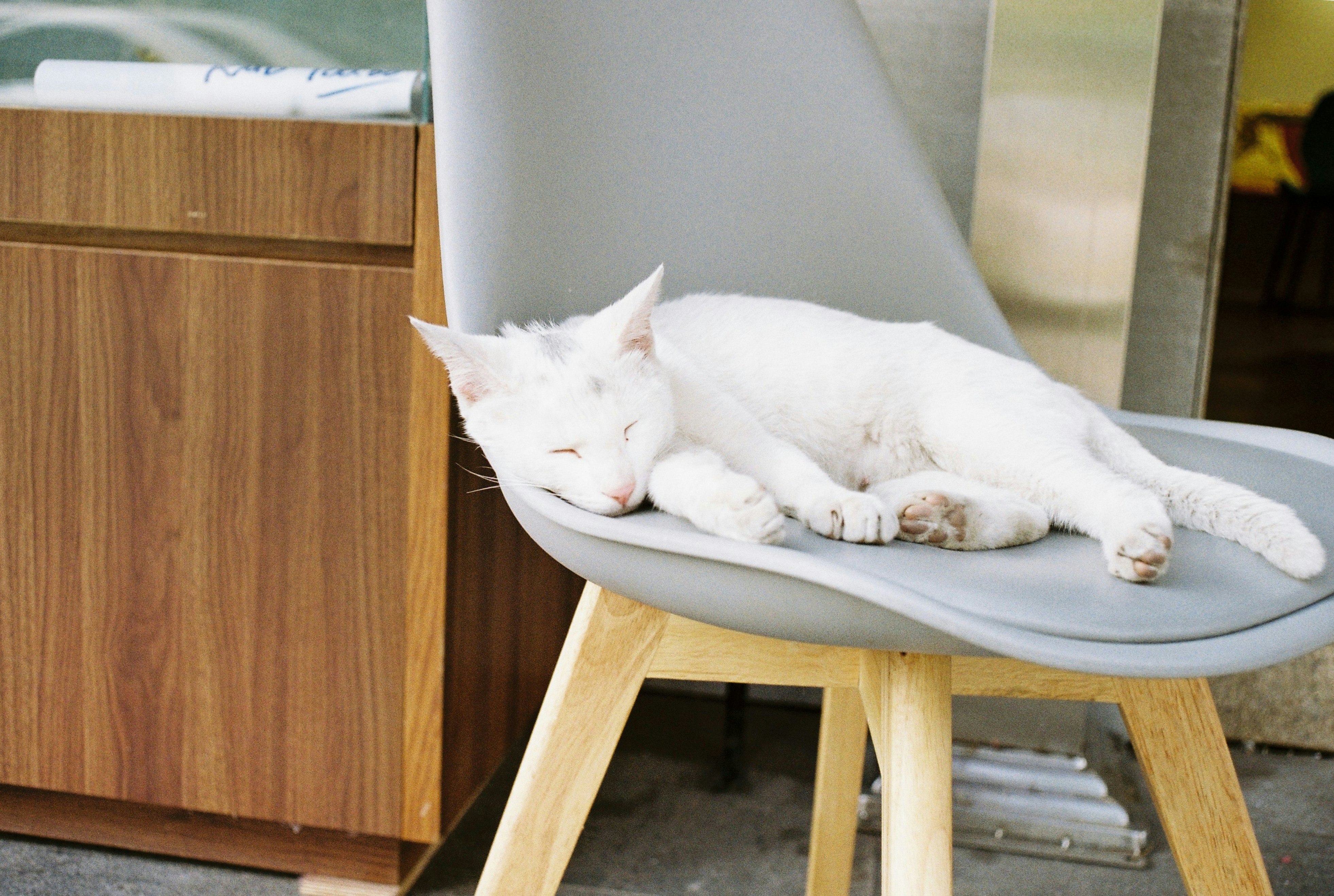 Photo by geraltyichen