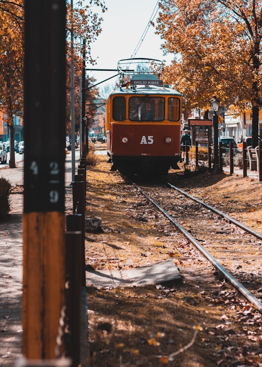 red and white train on rail tracks during daytime