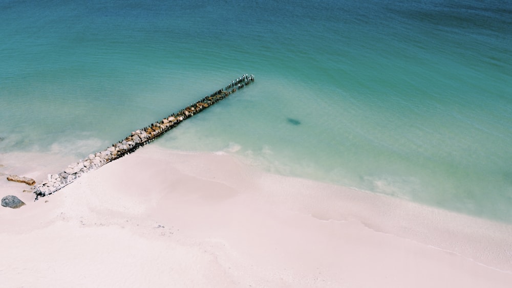 brown wooden dock on blue sea during daytime