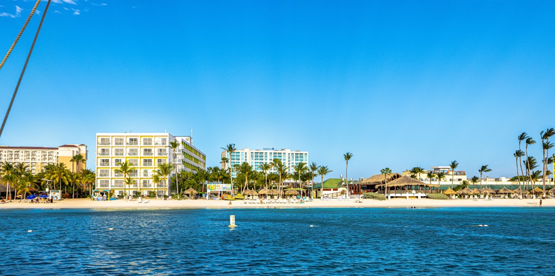 people swimming on beach during daytime,