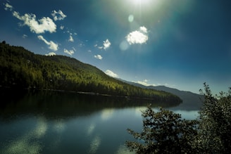 A serene landscape featuring a calm lake surrounded by lush greenery and soft sunlight filtering through the trees.