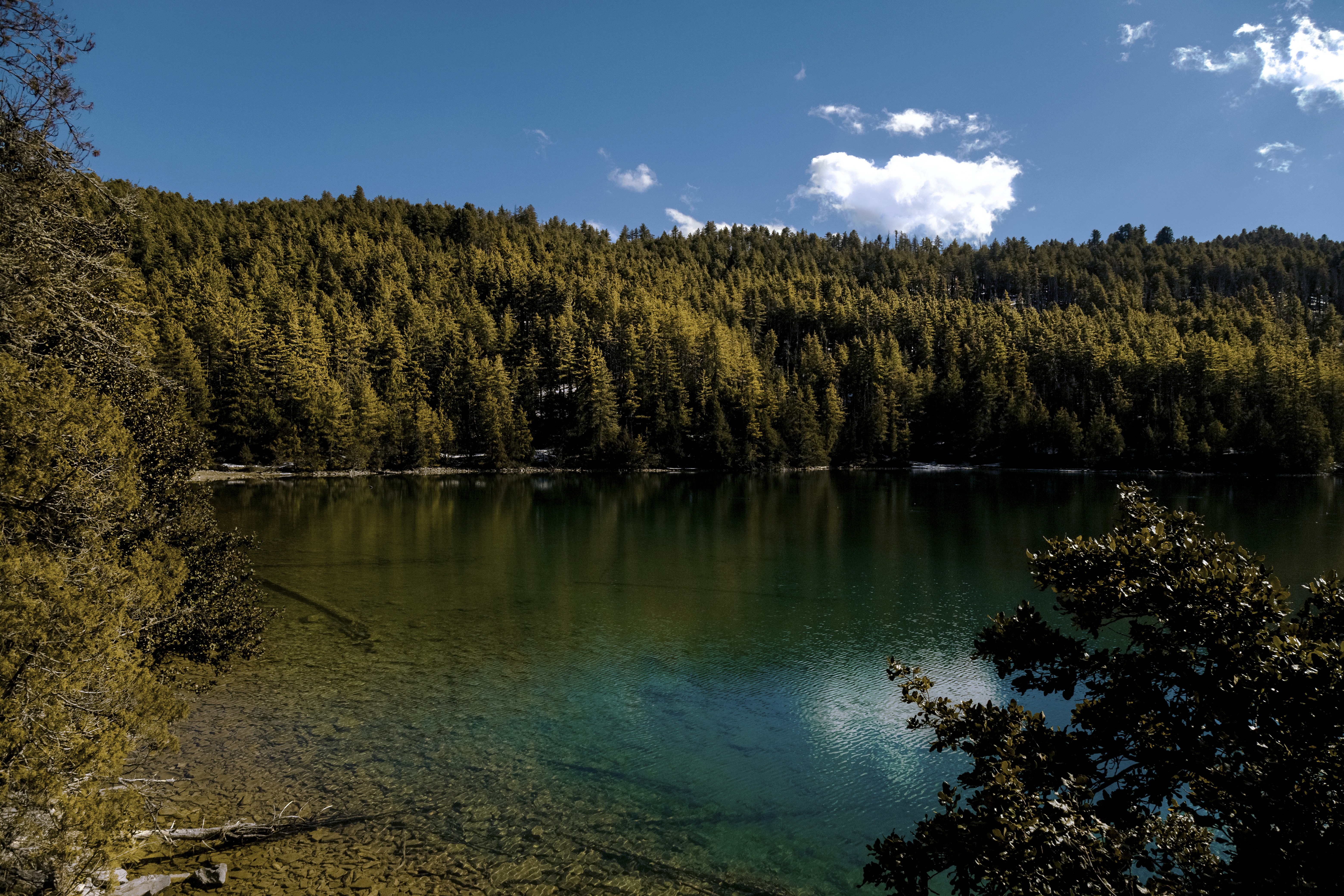 Photo by ashokjkshetri