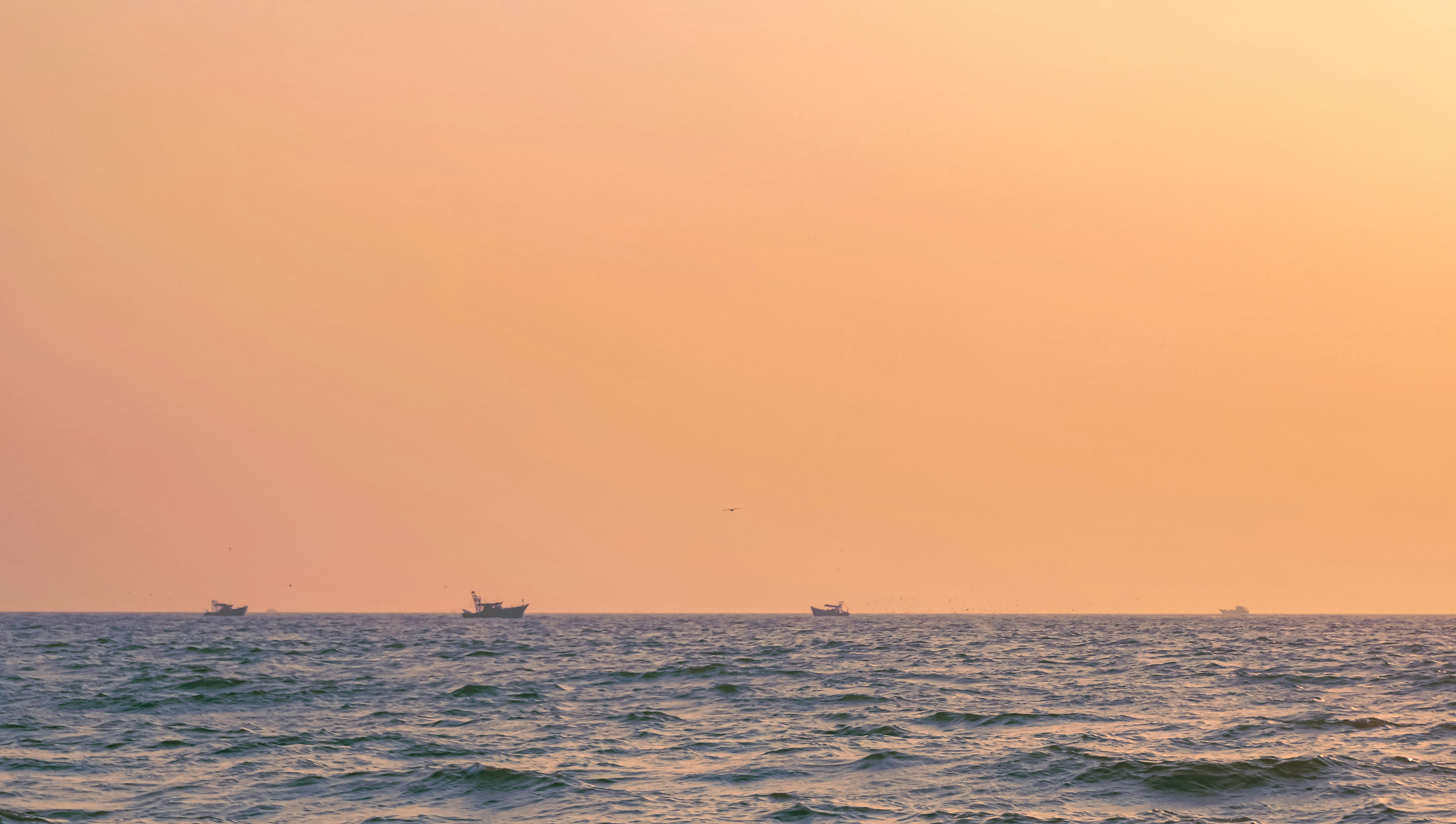 Photo by the_abnormal_man