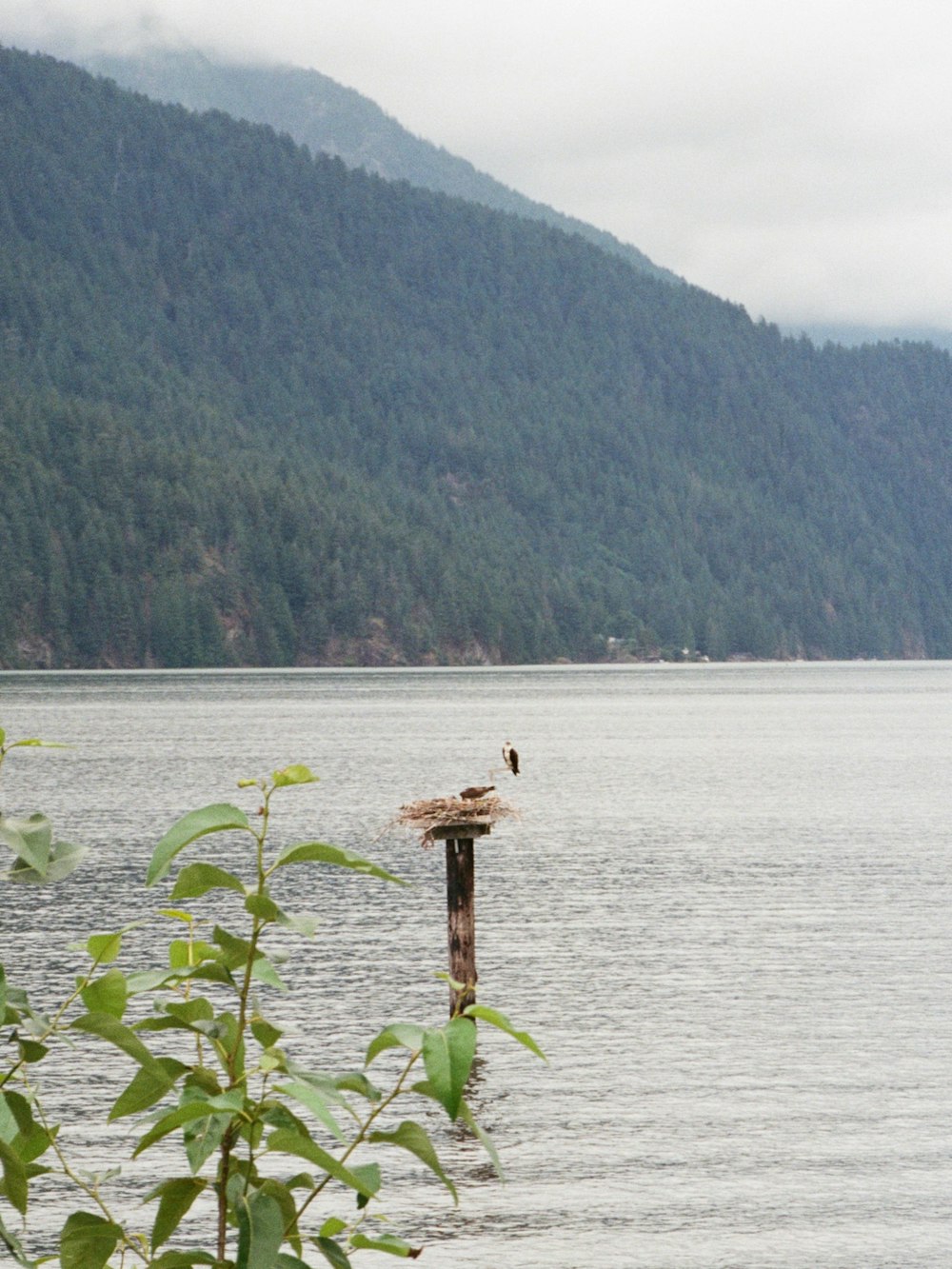 brown wooden stand on body of water during daytime