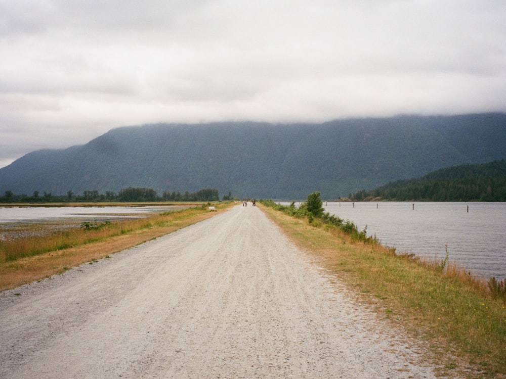 gray road beside green grass field near body of water during daytime