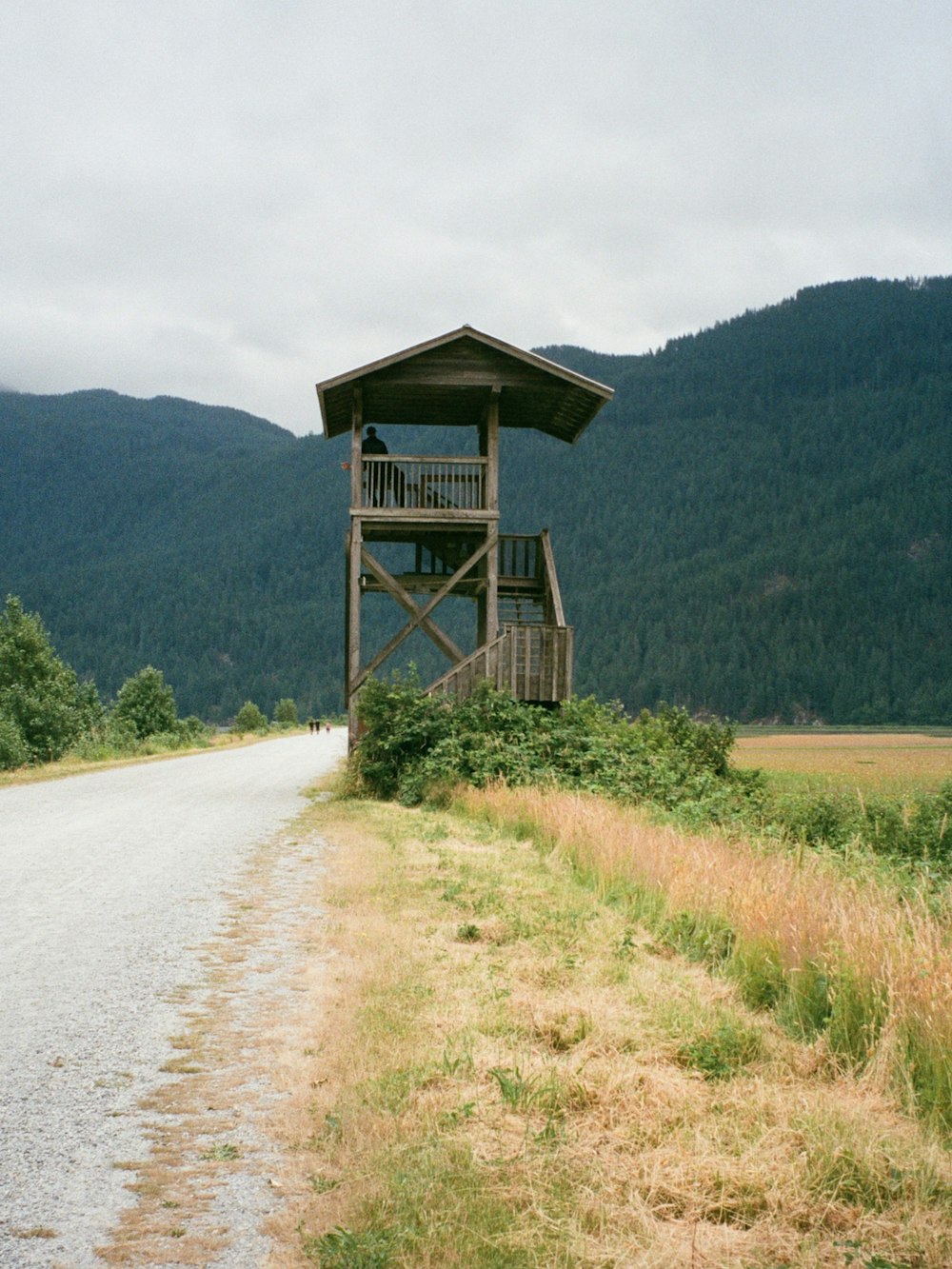 brown wooden house on green grass field during daytime