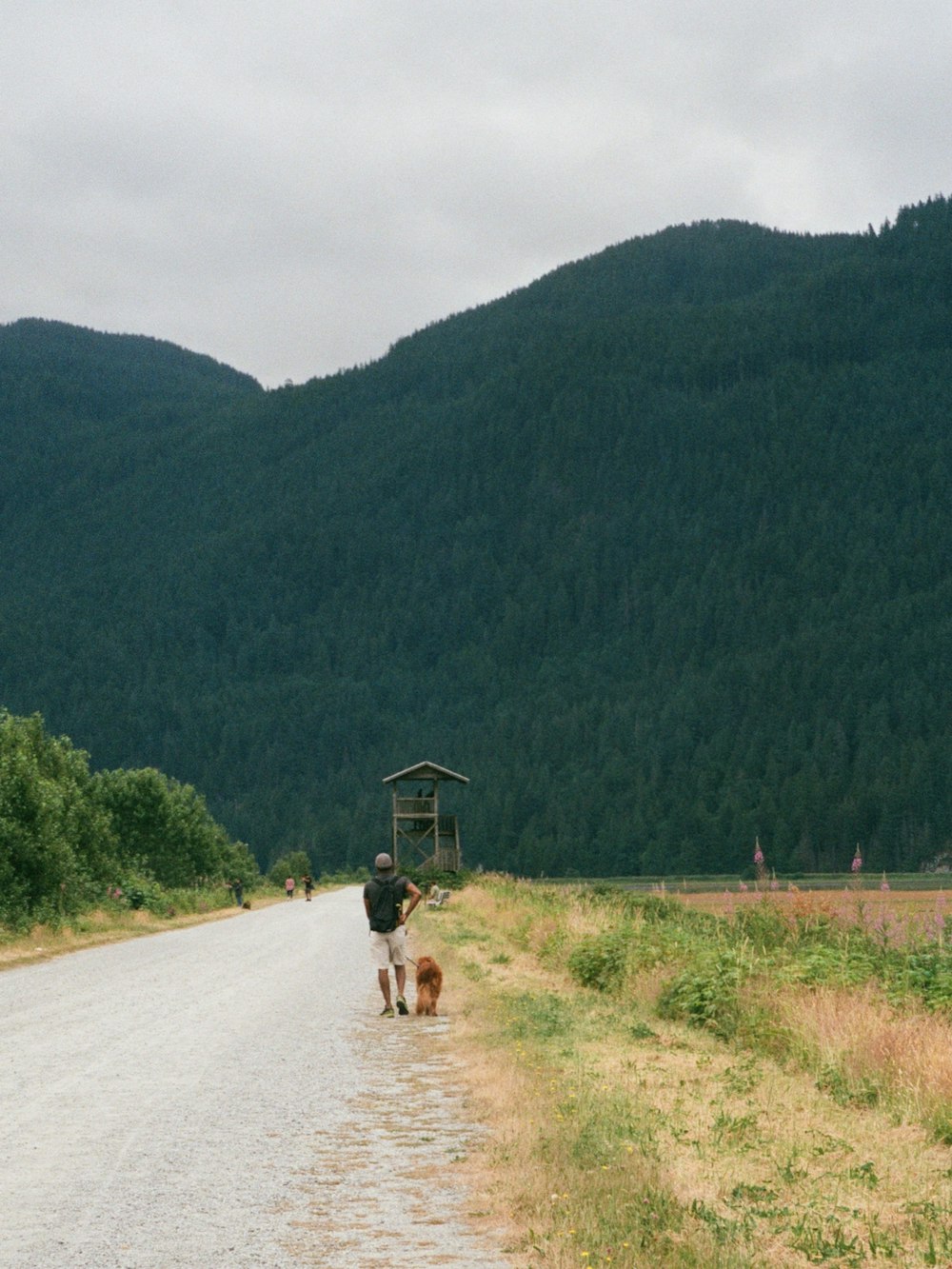 2 people riding on brown horse on road during daytime