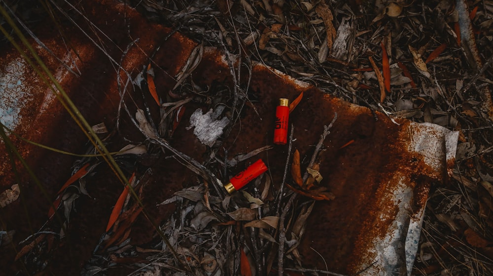 red disposable lighter on brown dried leaves