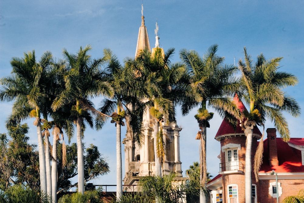 white and brown concrete building surrounded by palm trees