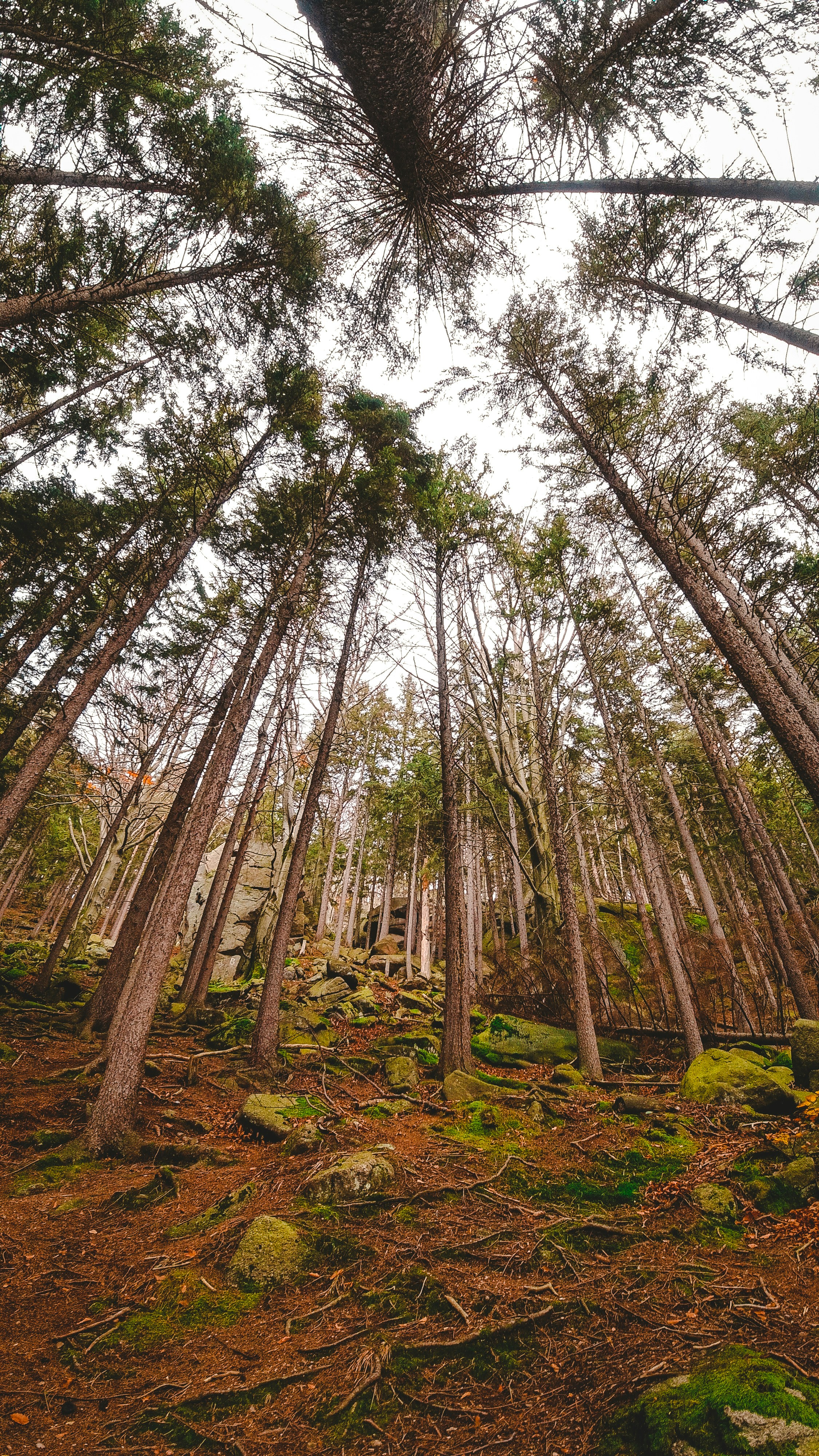 Photo by fruitboykid