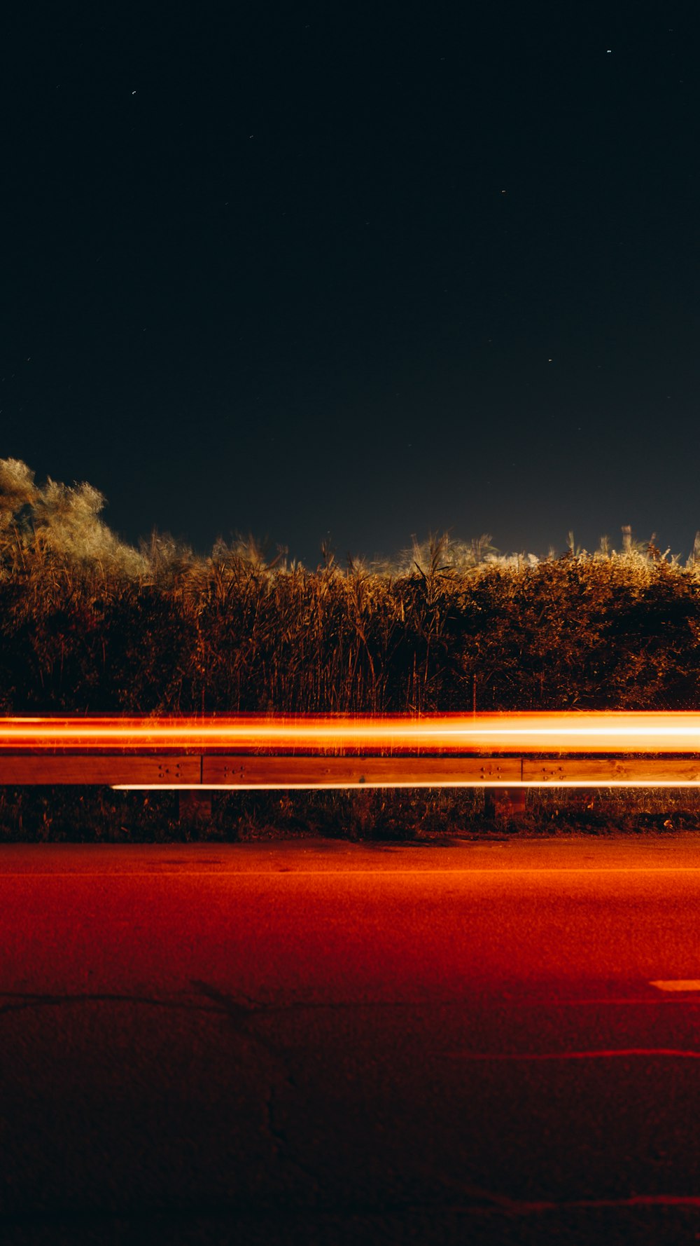 braune Bäume neben dem Gewässer während der Nacht