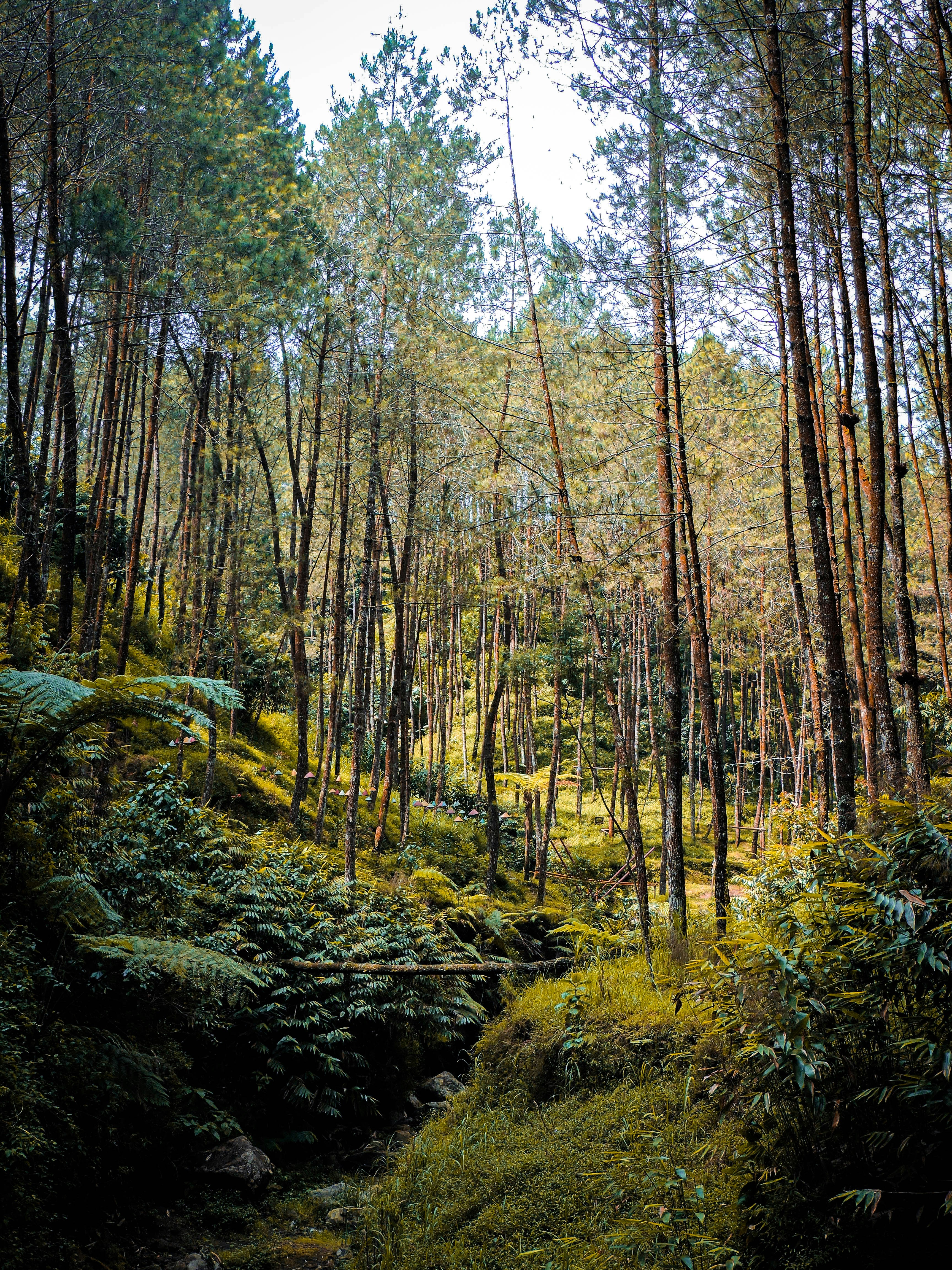 New Robotic Arm Design Helps MS Patients Daily