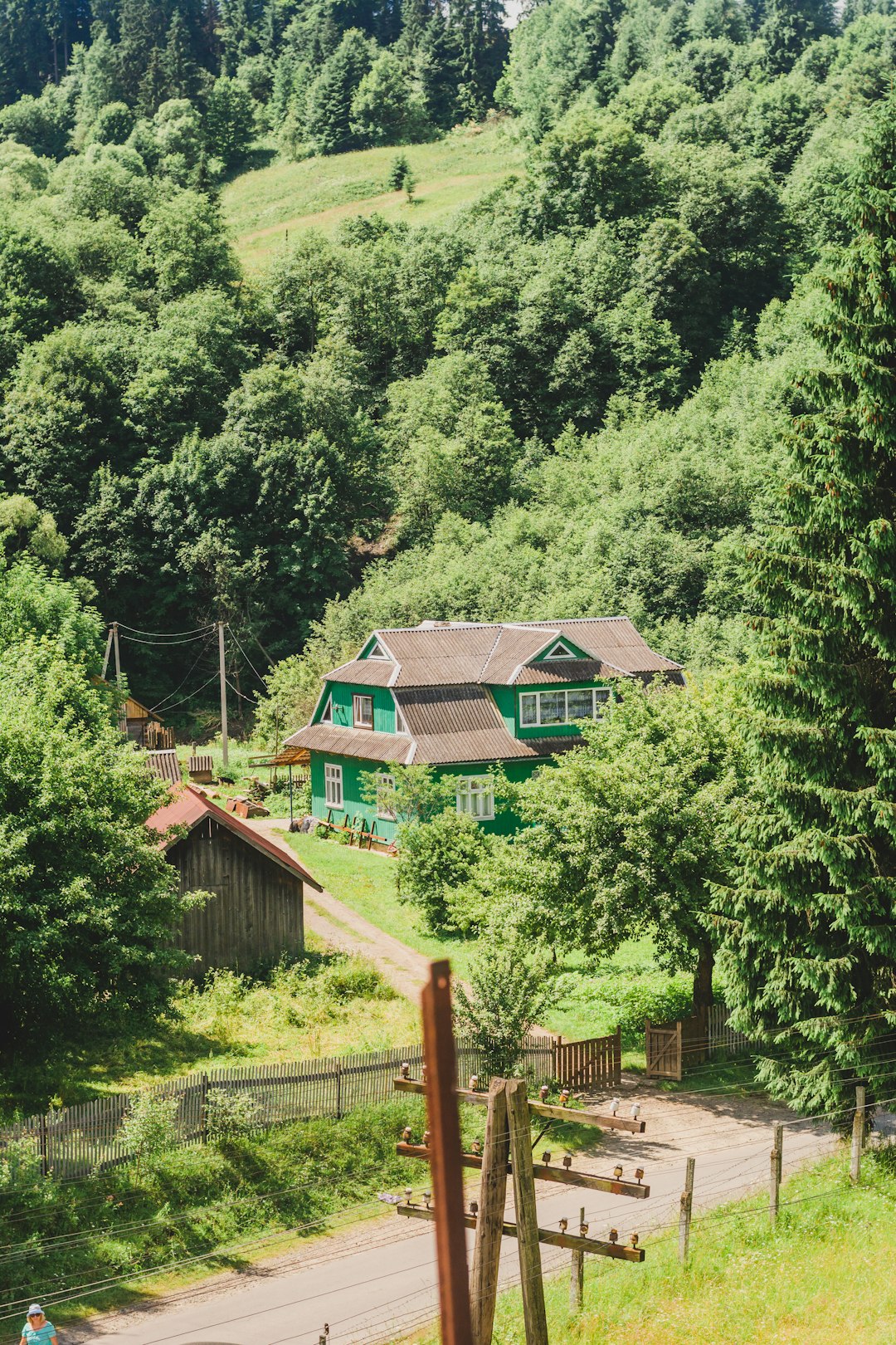 green and brown wooden house surrounded by green trees during daytime