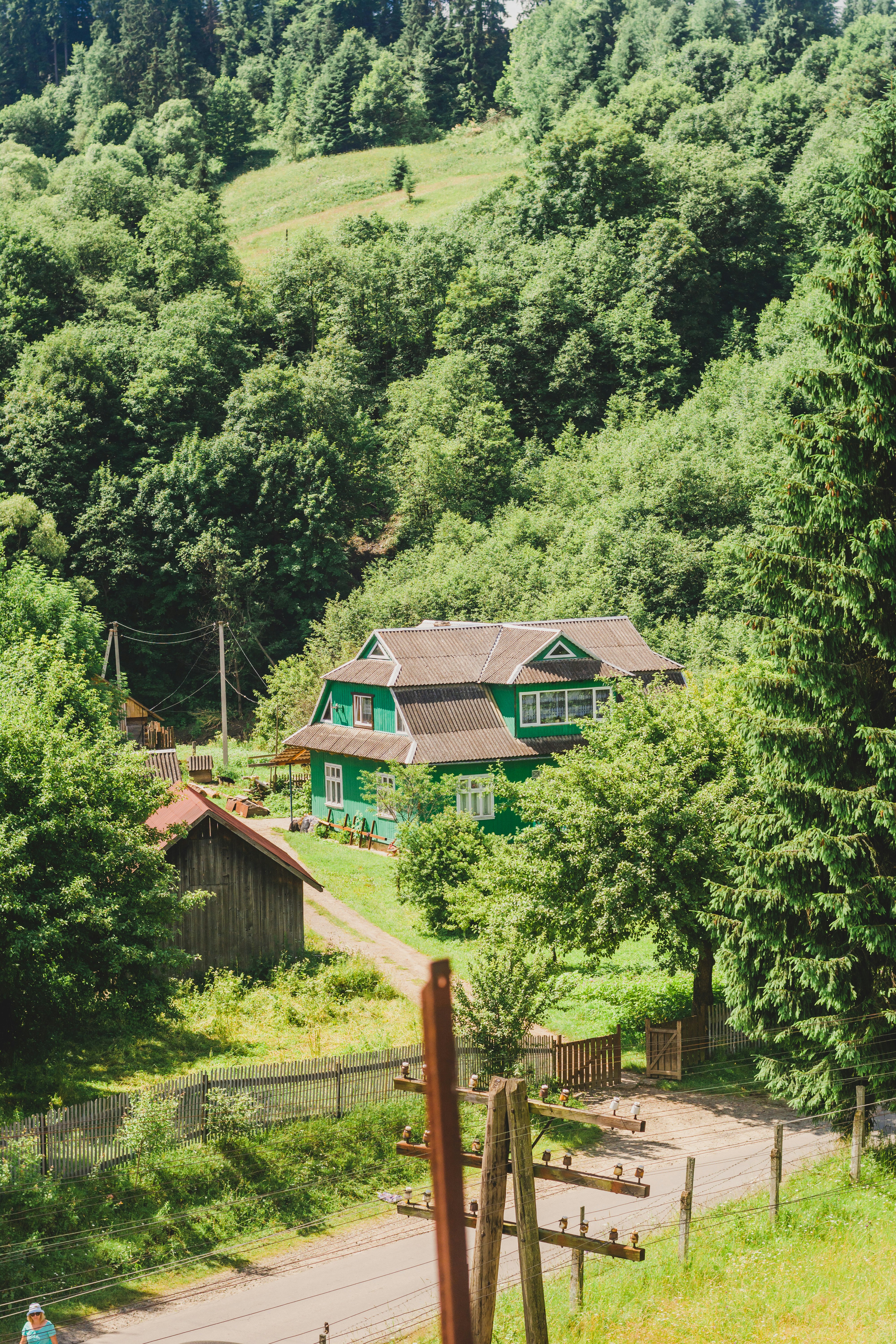 green and brown wooden house surrounded by green trees during daytime
