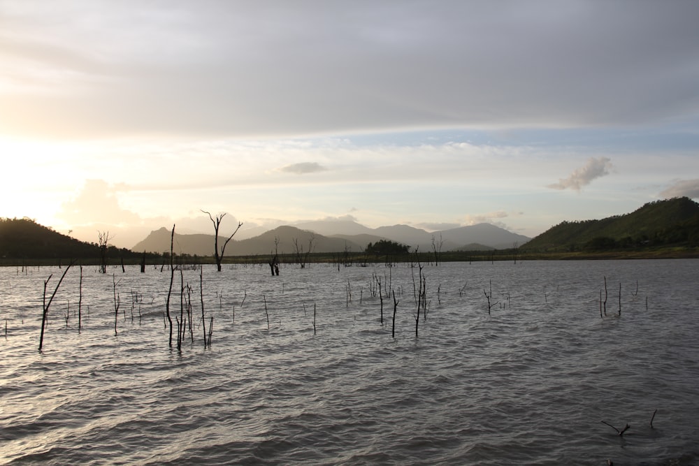 body of water during sunset