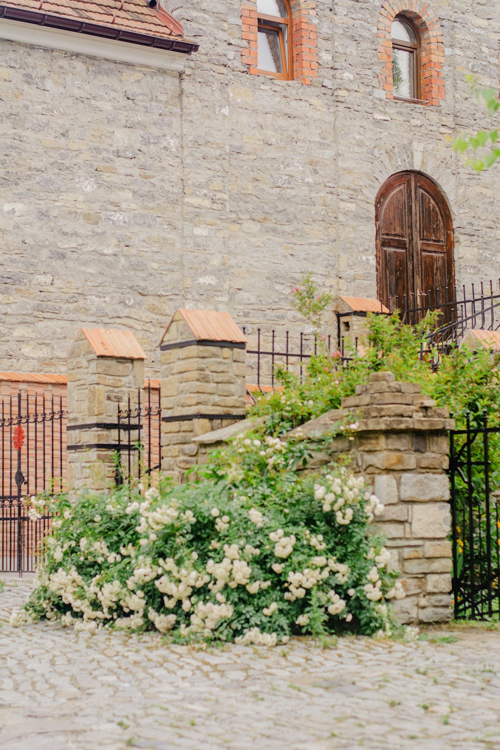 brown brick building with green plants