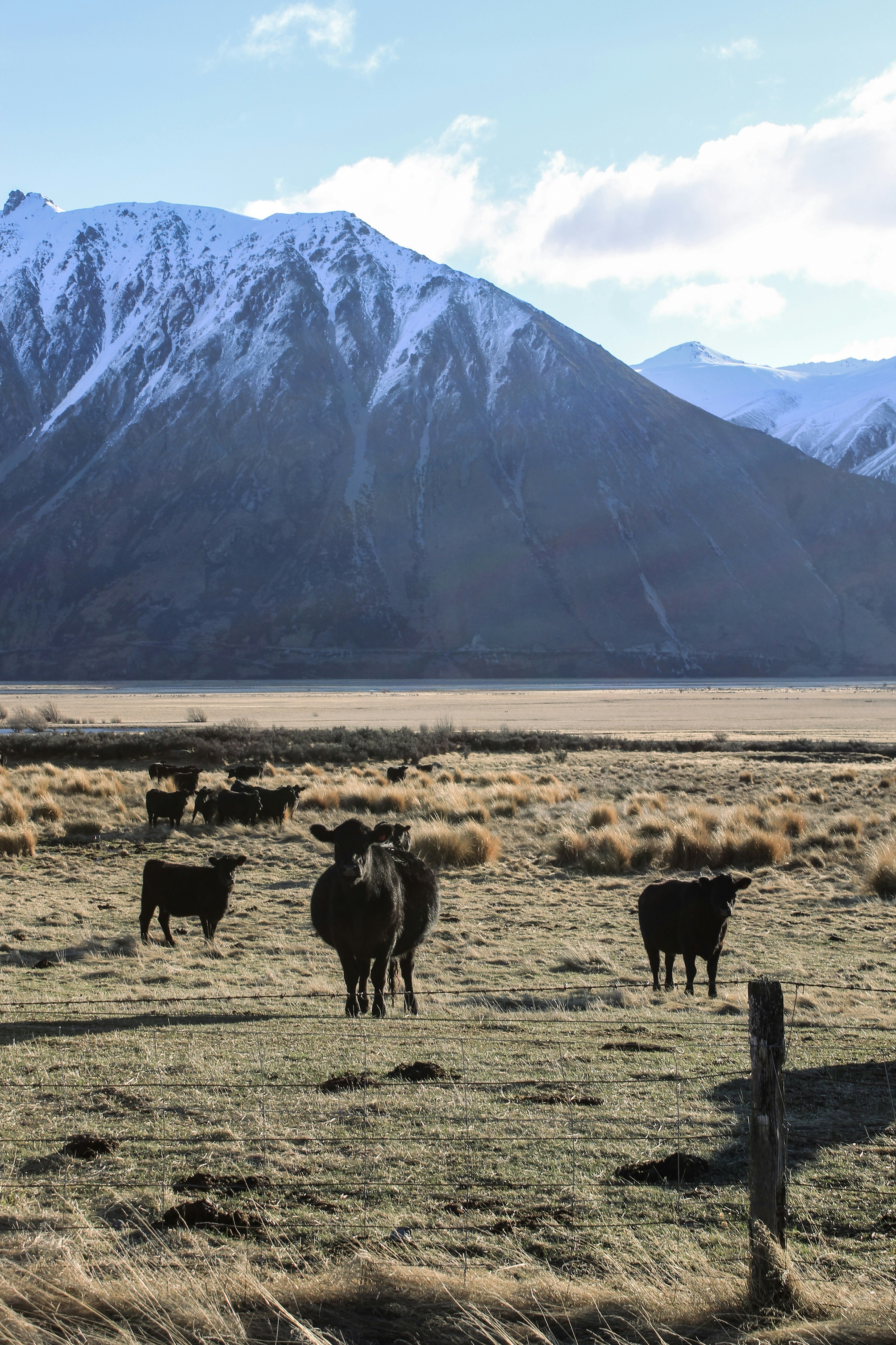 Photo by boketto_photography