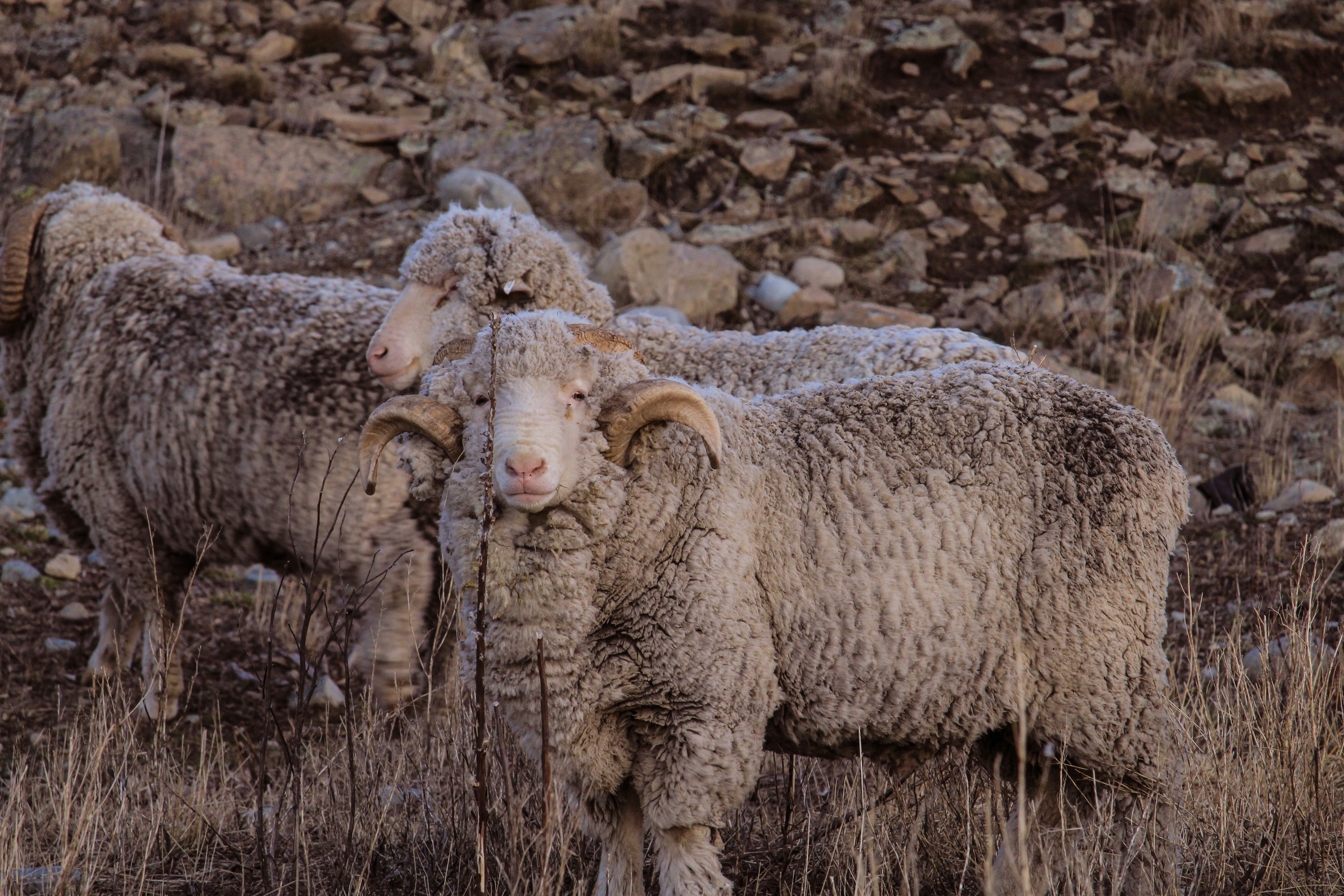 Photo by boketto_photography