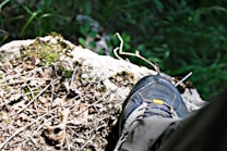 A hiking shoe is stepping on a rocky, uneven surface covered with dried leaves, twigs, and patches of green moss. Surrounding the shoe are various shades of green, indicating dense foliage or a forest environment.
