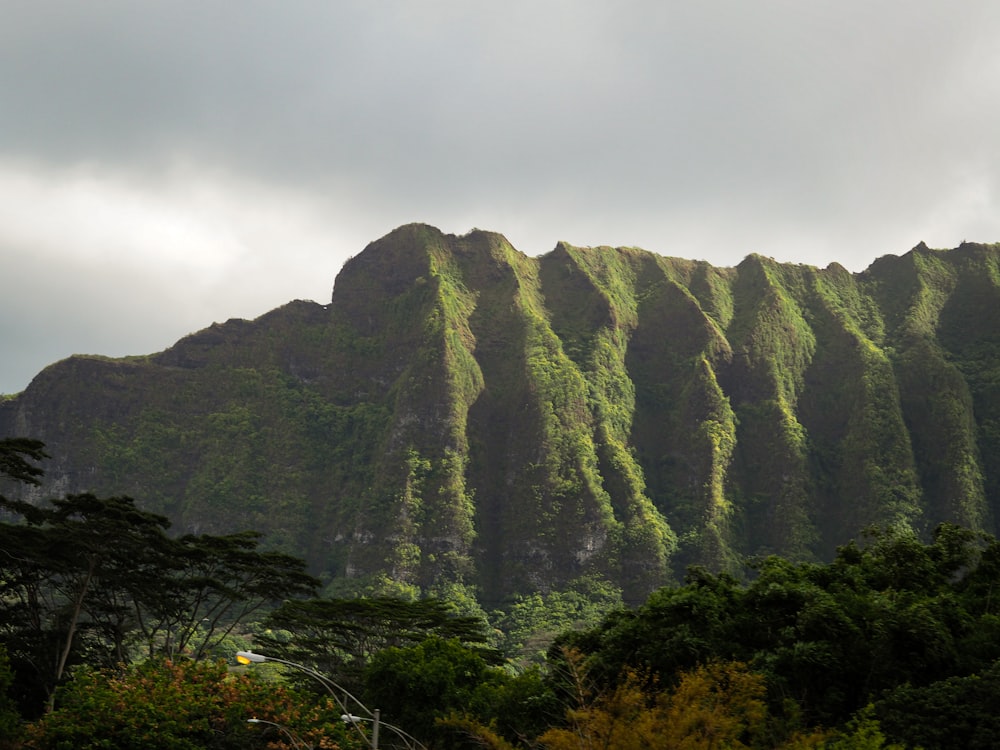 昼間の白い空の下に緑と茶色の山