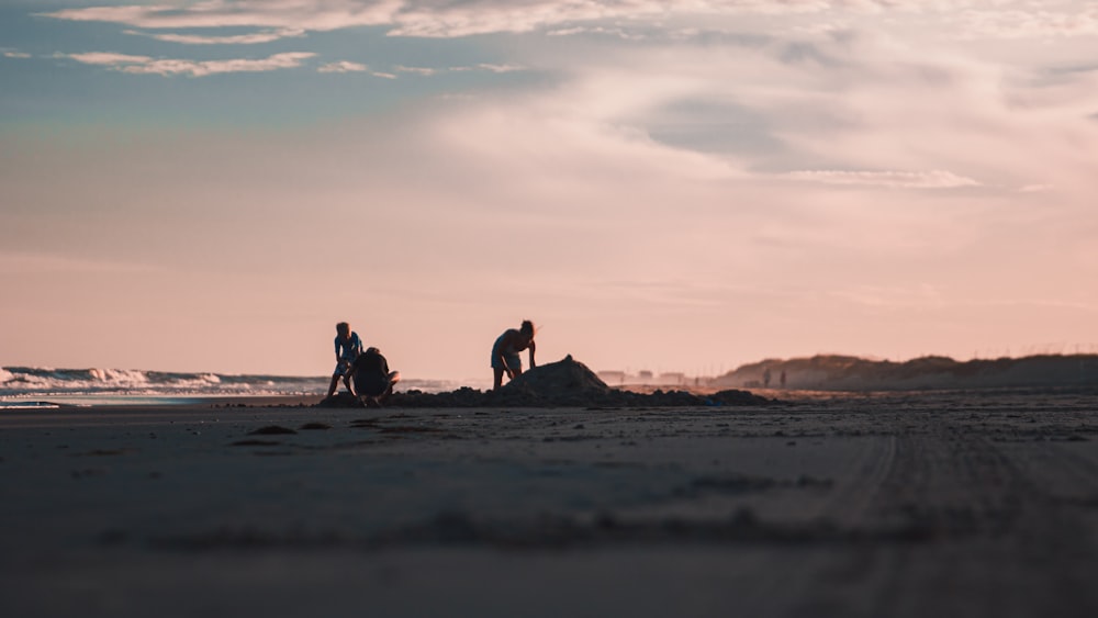 people sitting on sand during sunset