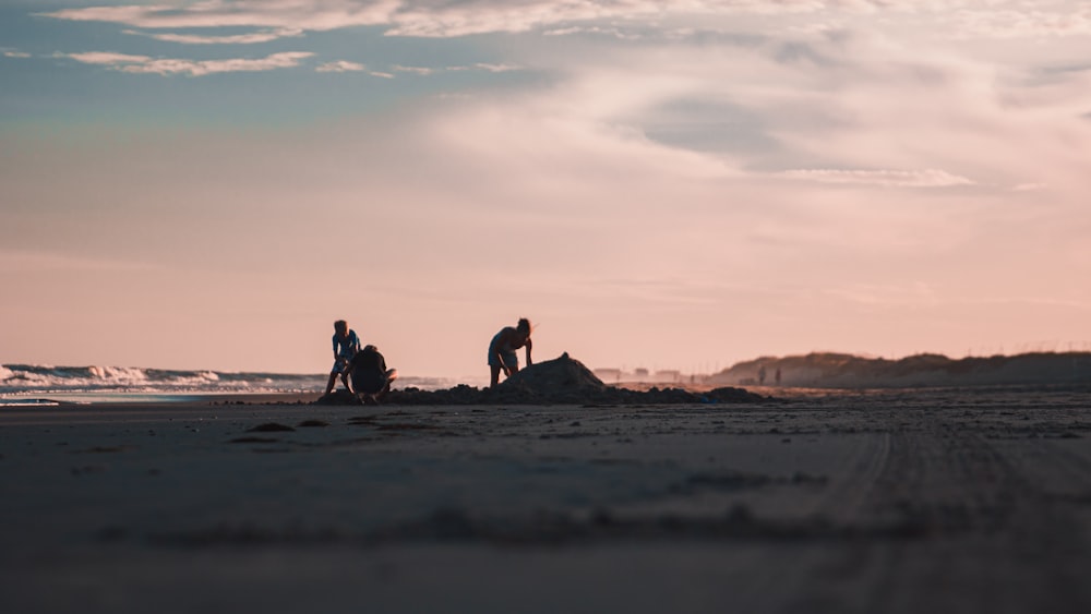 personnes assises sur le sable au coucher du soleil