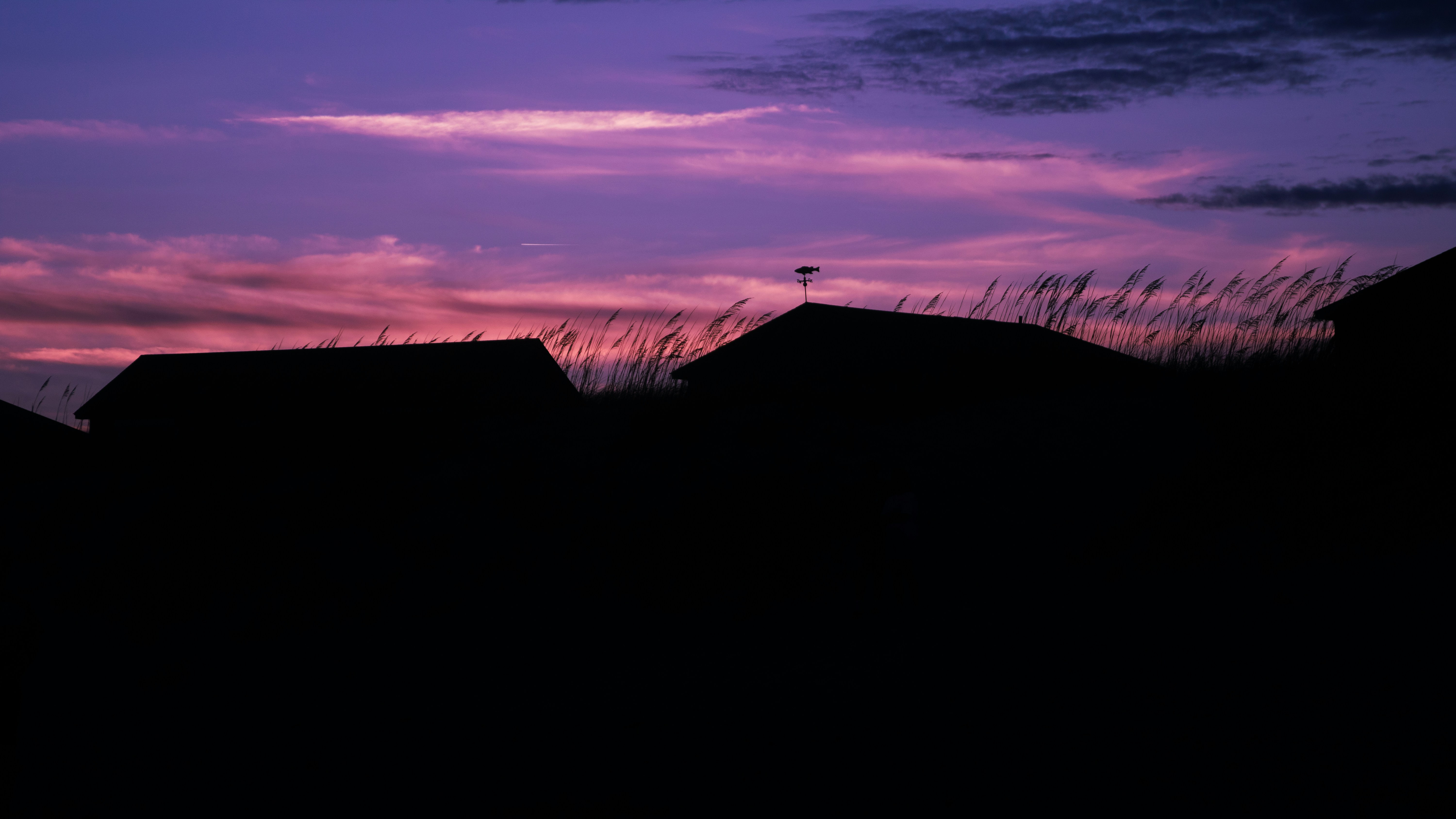 Photo by raymondkotewicz