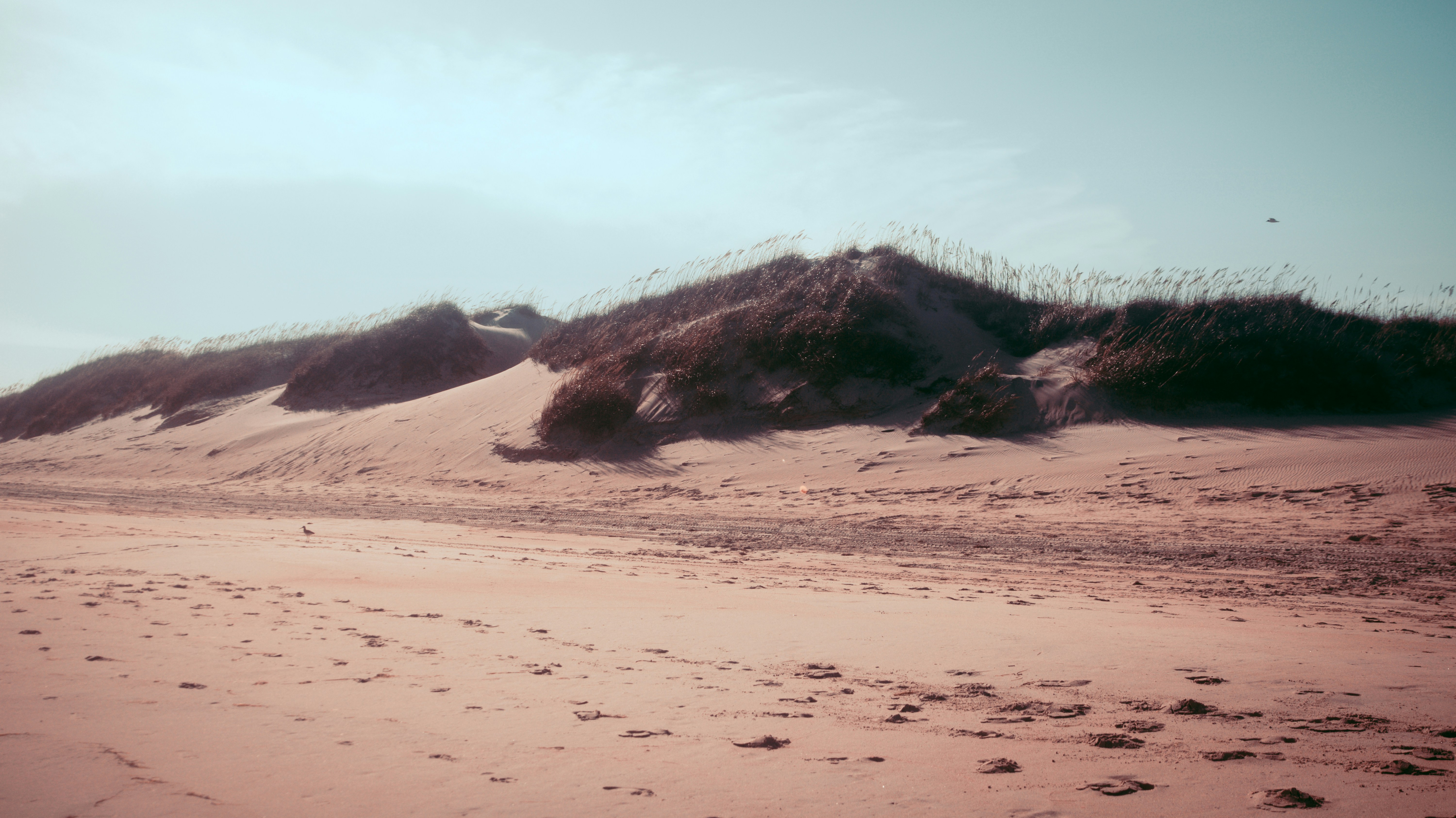 Photo by raymondkotewicz