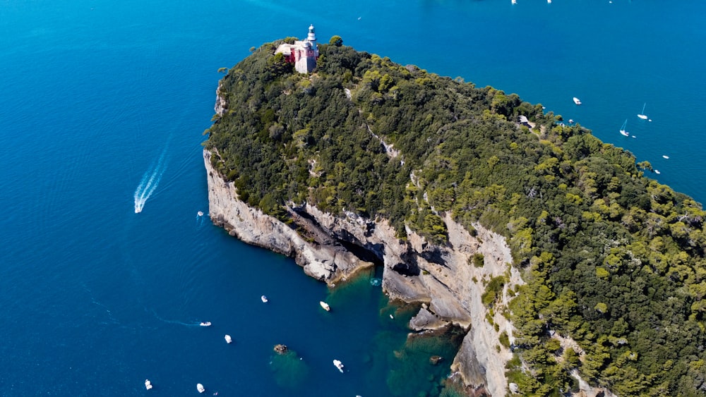 Persone sulla montagna verde e marrone vicino al mare blu durante il giorno