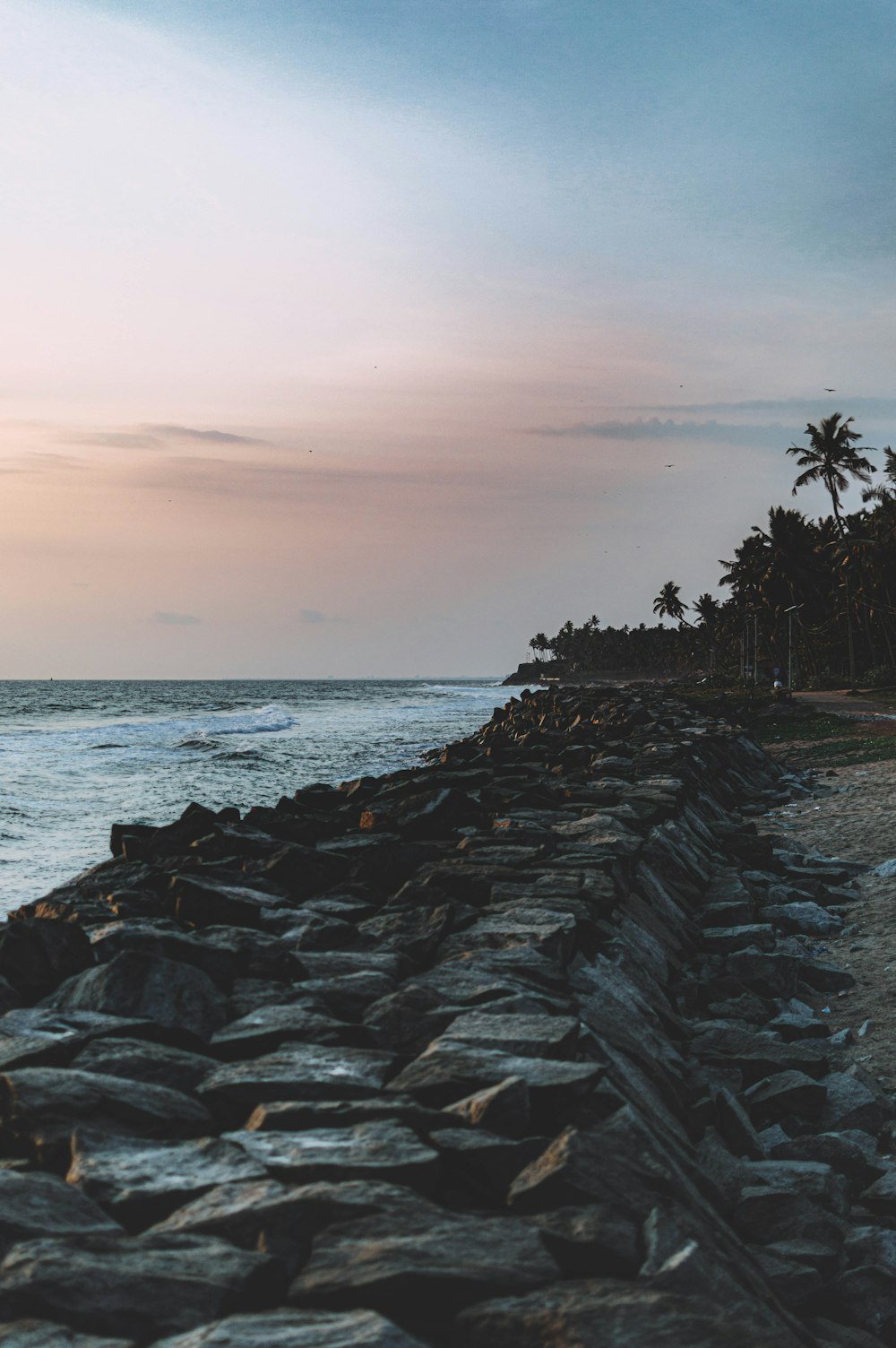 gray rocky shore during sunset