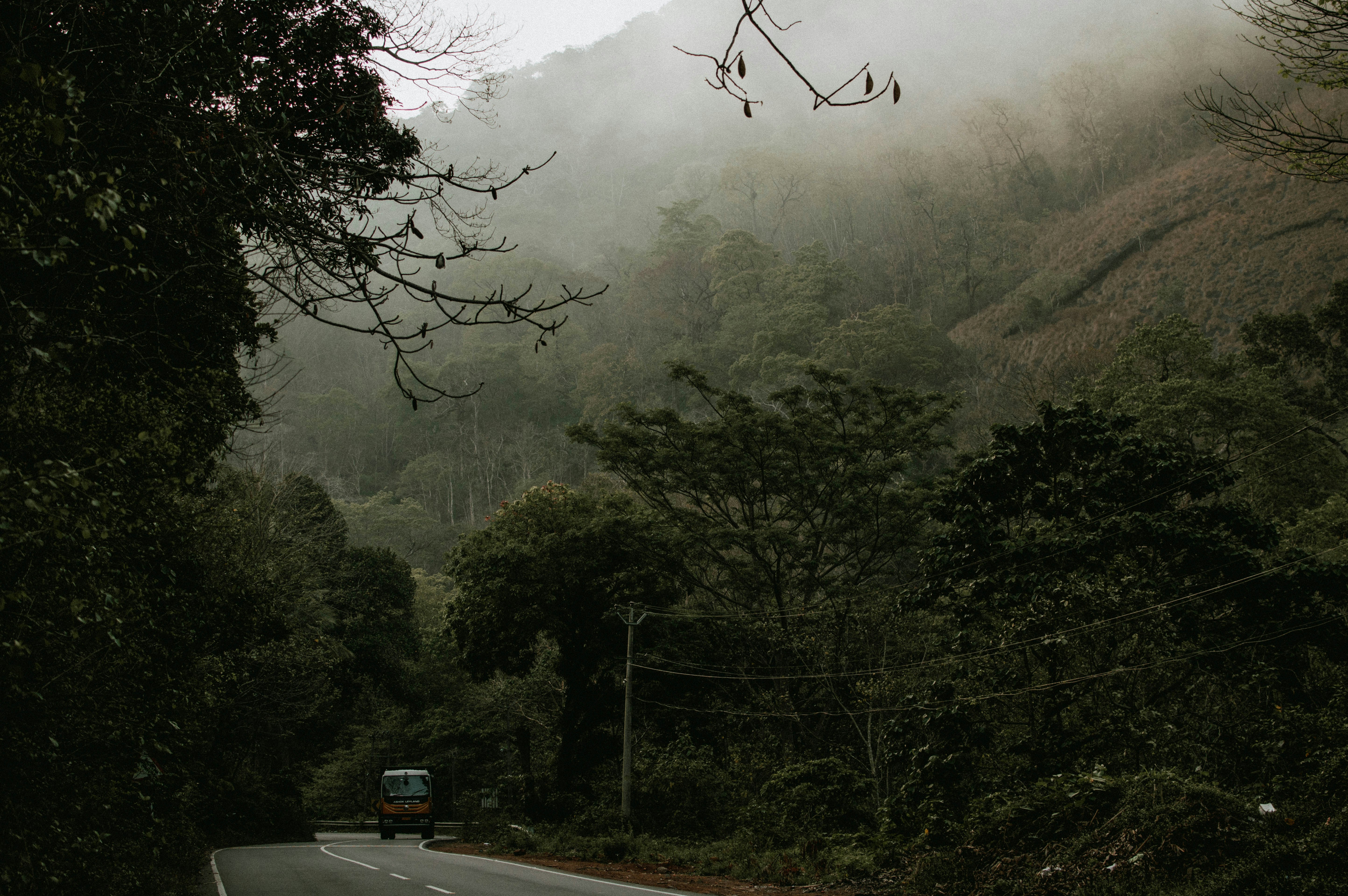 Photo by krishnaamith