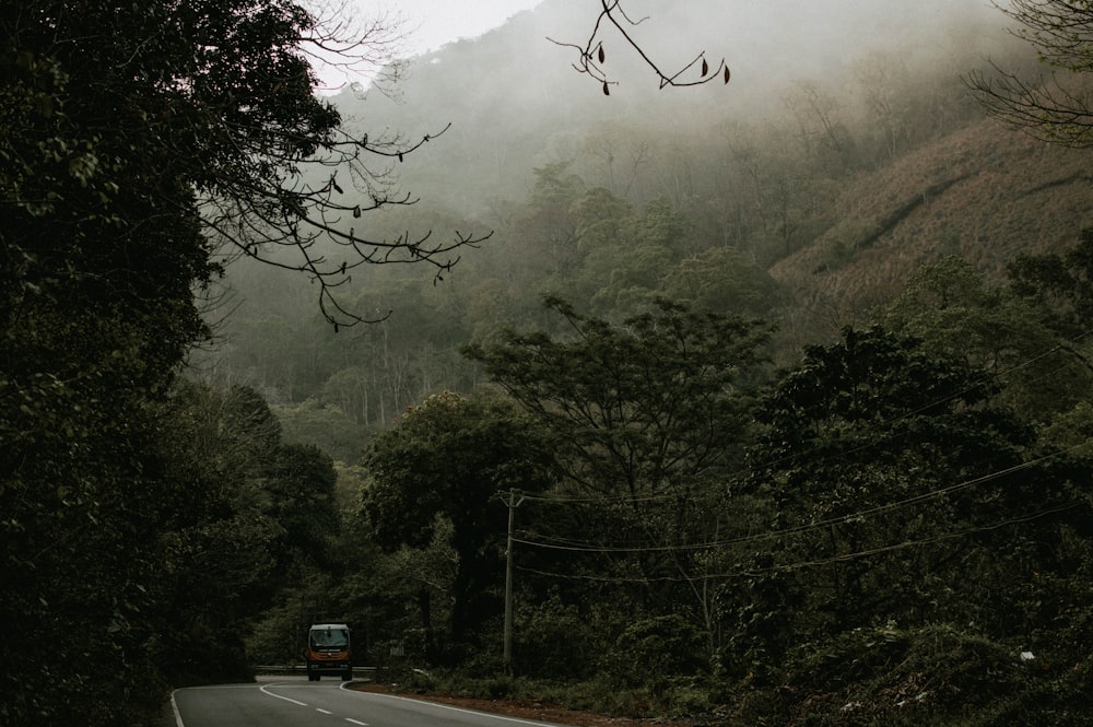 gray car on road near green trees during foggy day