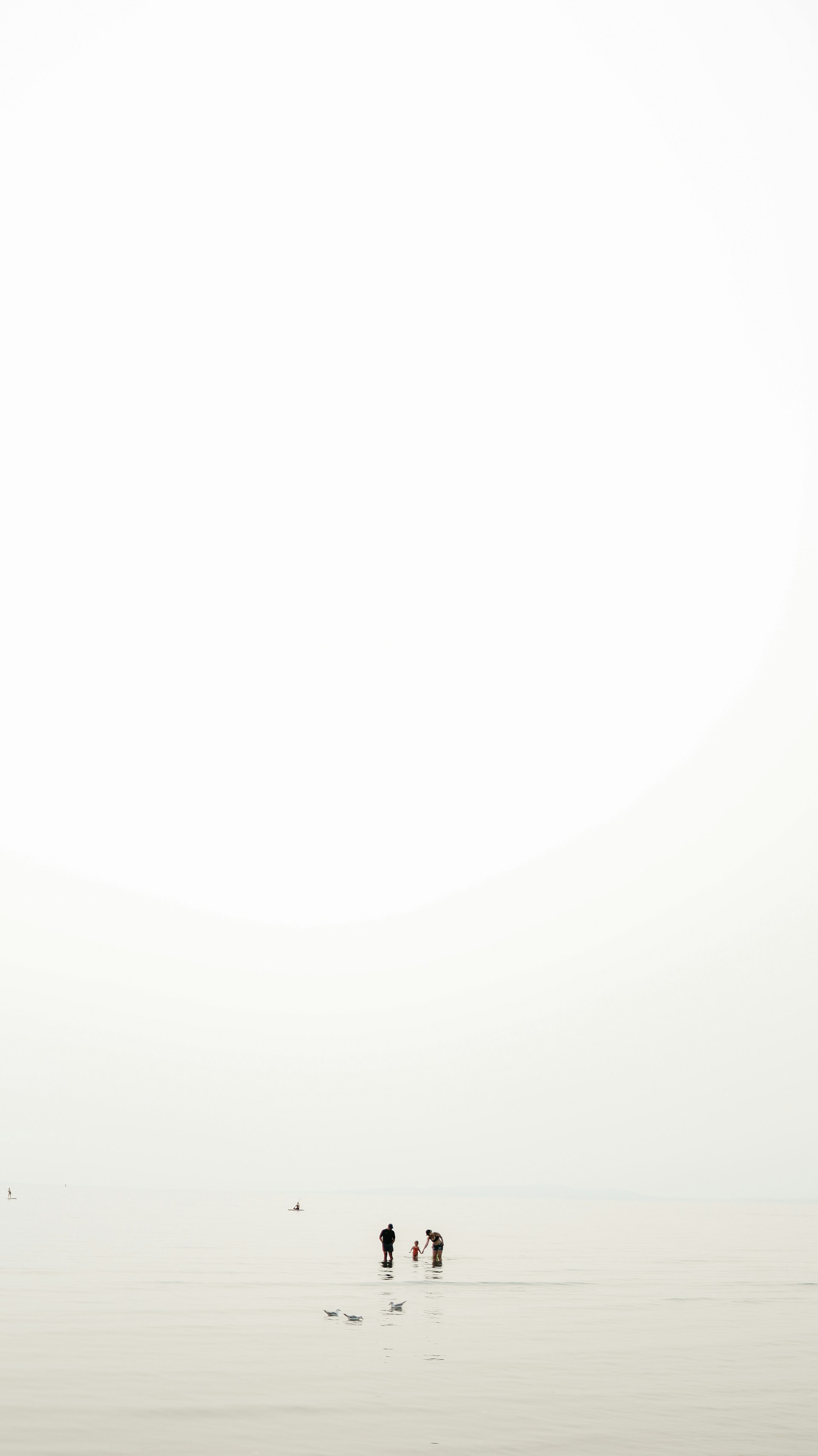 white and black frame illustration