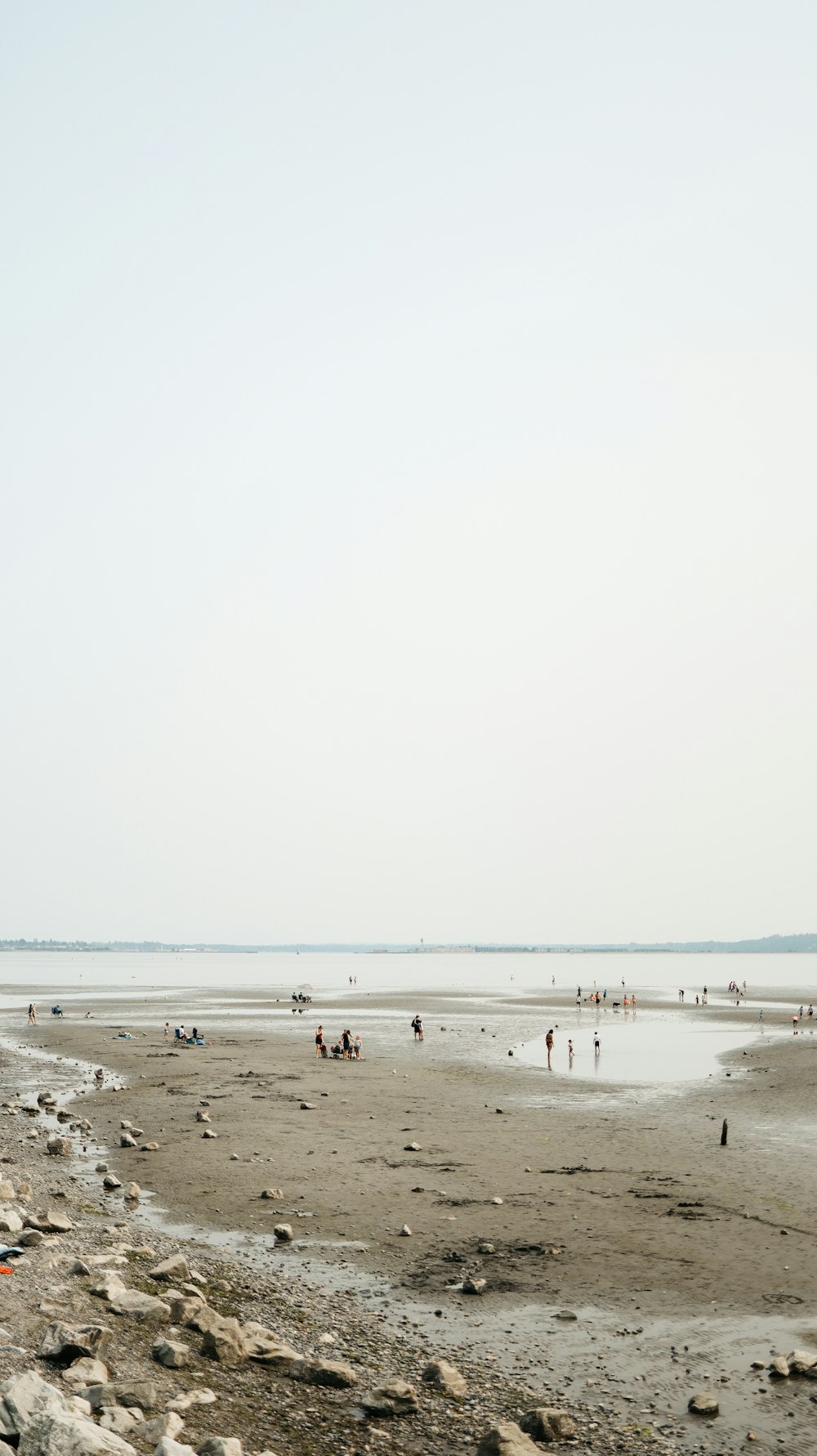 people on beach during daytime