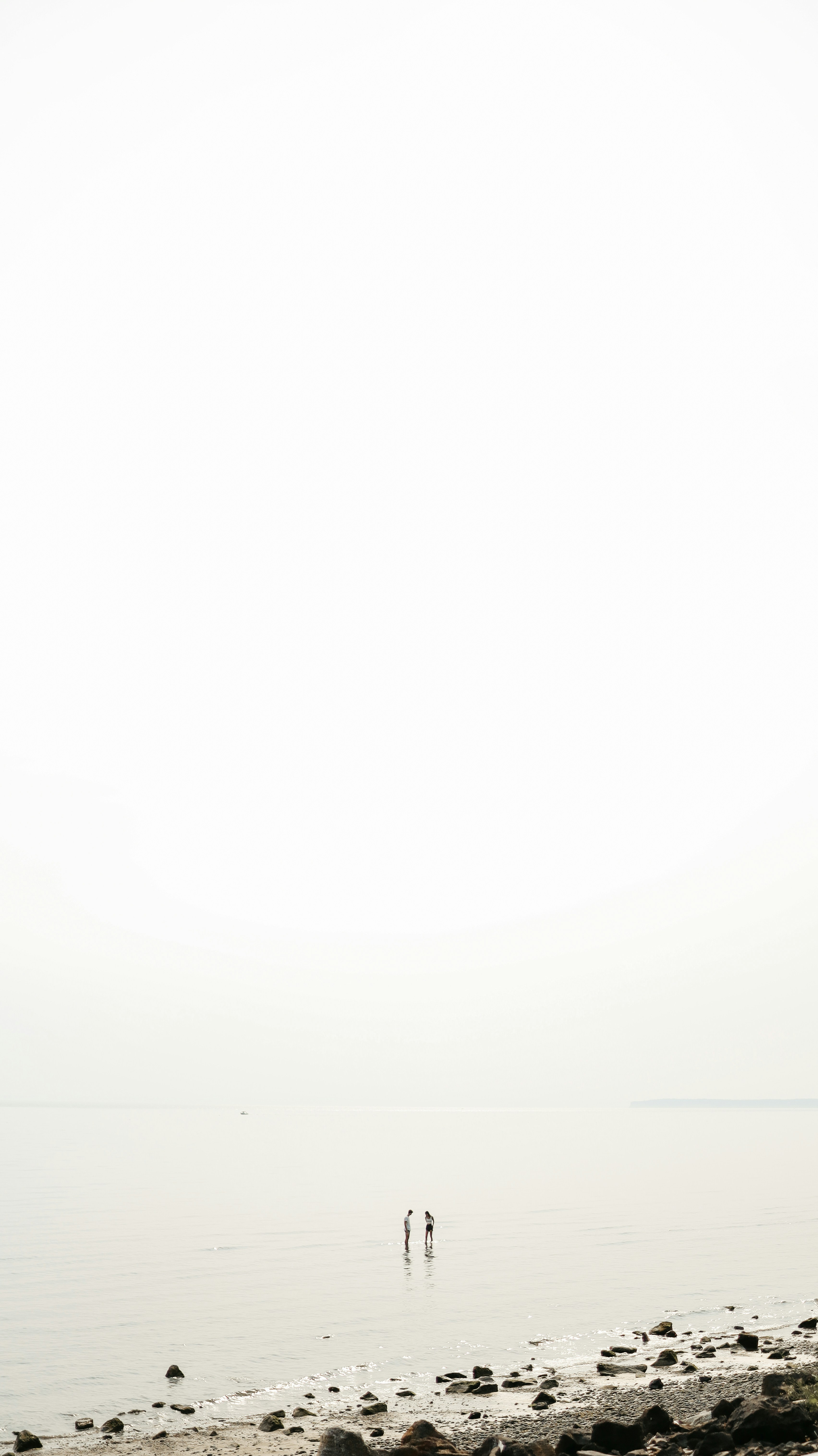 white and black abstract painting