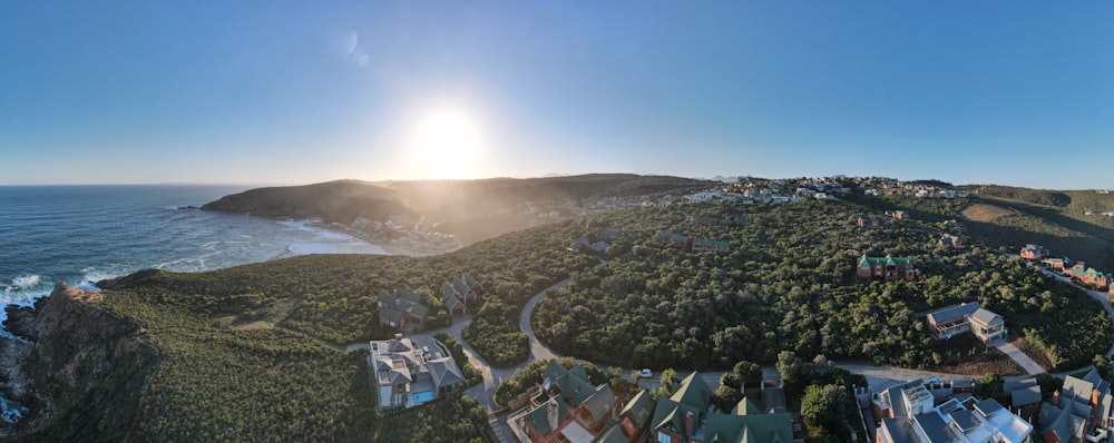 aerial view of green trees and houses during daytime