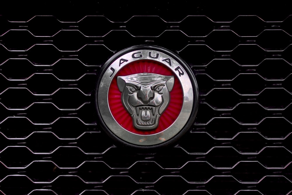 a close up of a jaguar emblem on a grill