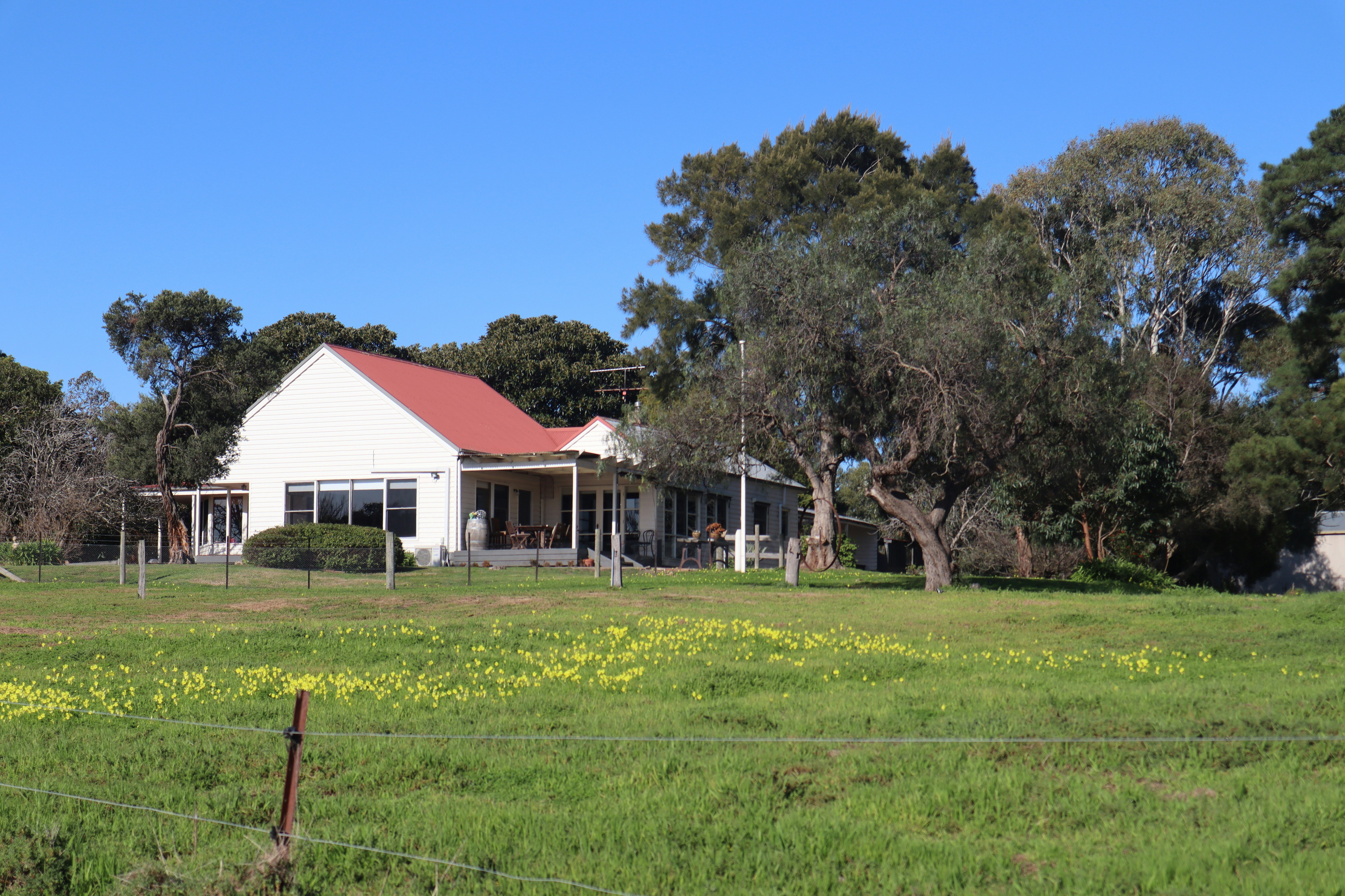 green grass field with trees and houses
