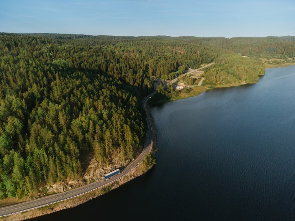 aerial view of green trees beside river during daytime