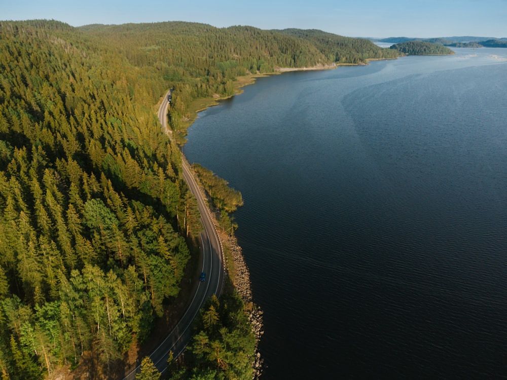 aerial view of green trees beside blue sea during daytime