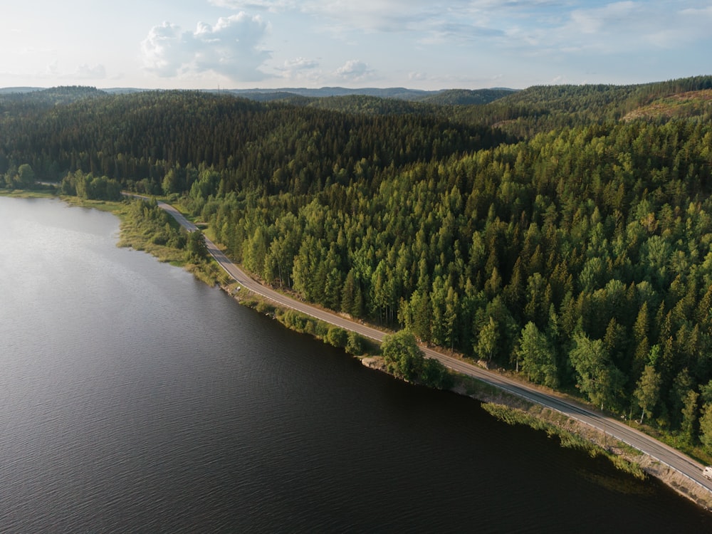 green trees beside river during daytime