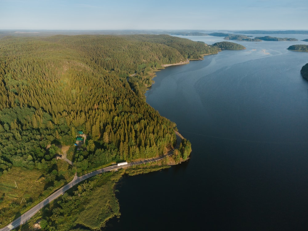 aerial view of green trees and blue sea during daytime