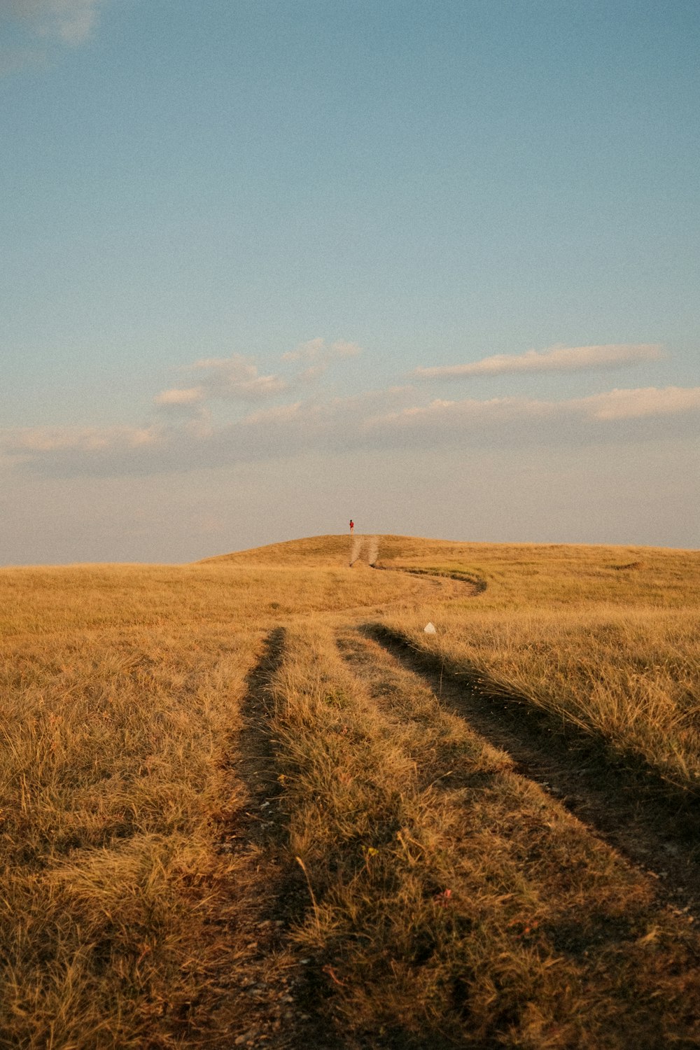 Champ d’herbe brune sous le ciel bleu pendant la journée