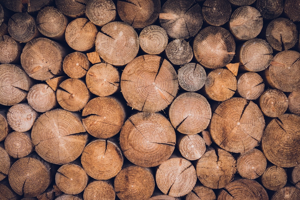 brown round fruit lot during daytime