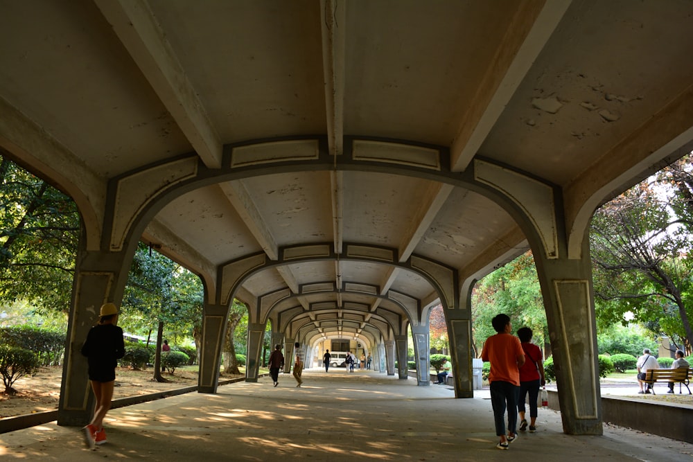 people walking on pathway during daytime