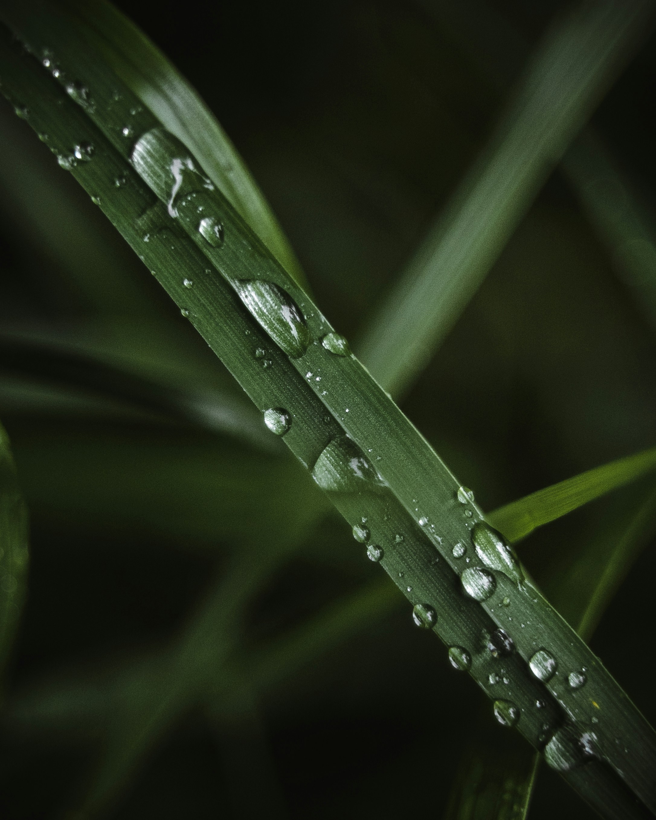 Photo by kirillpershin