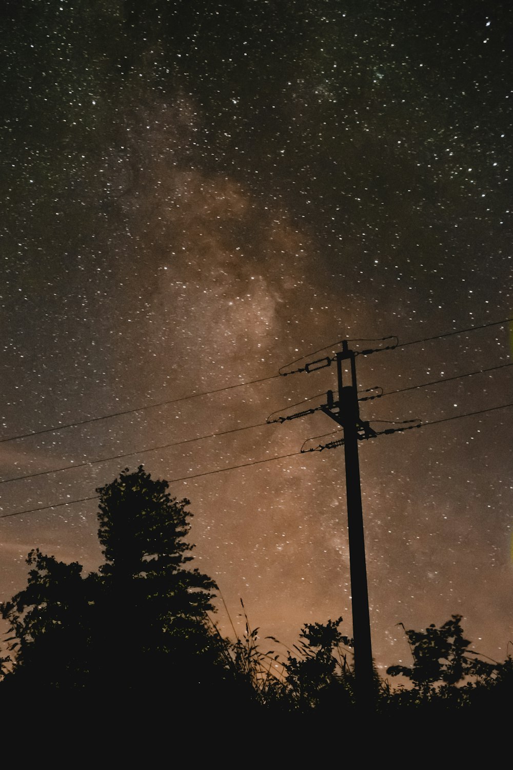 silhouette of trees under cloudy sky during night time