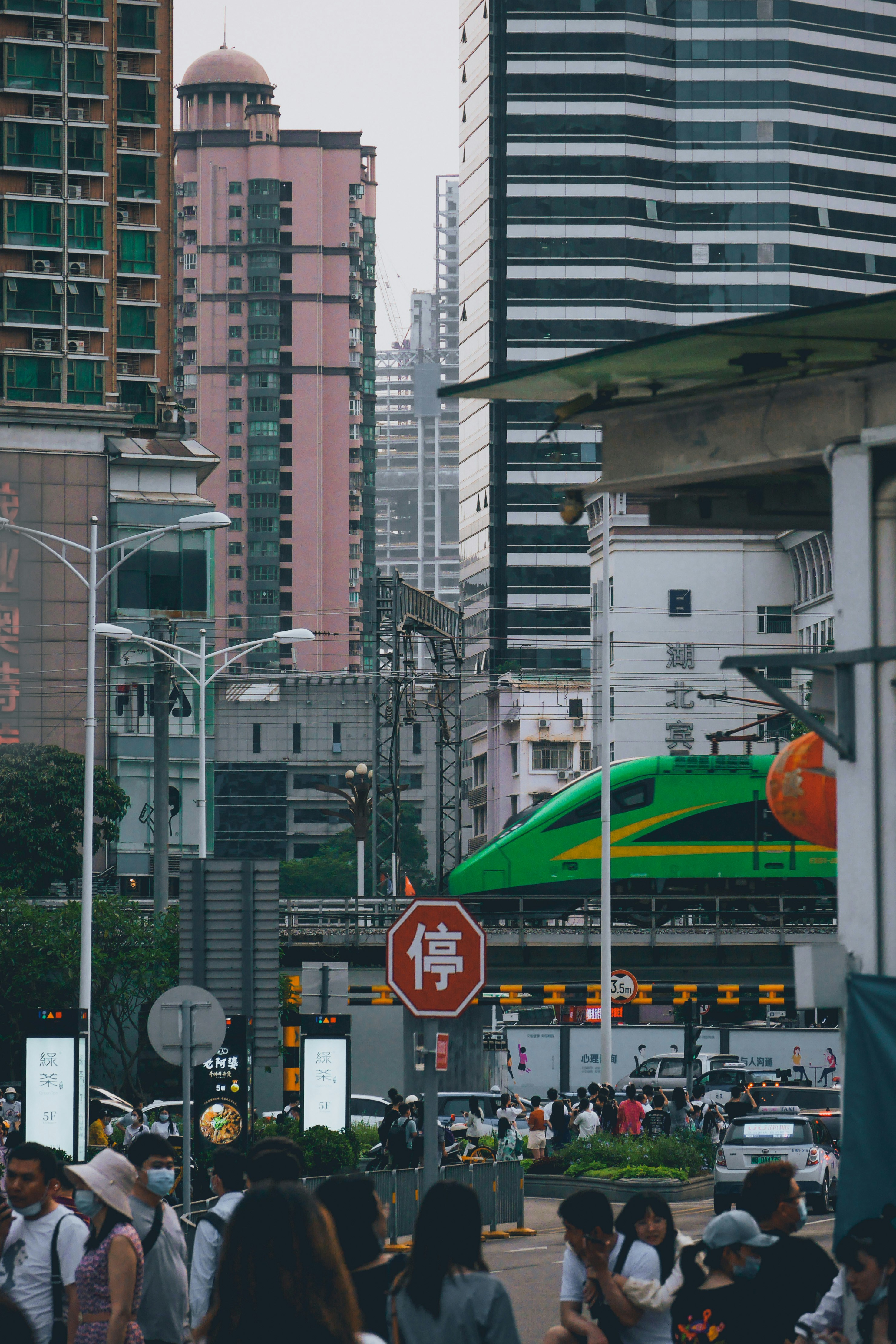 Neuroplasticity After 50: What the Science Actually Shows