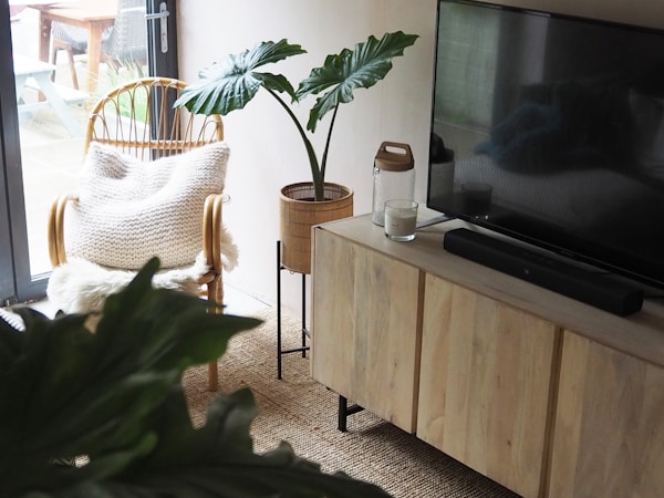 Quiet corner of a room with a rattan chair and plant in the sun.